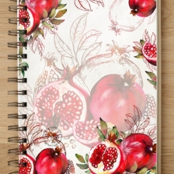 Notebook - NB2022-11