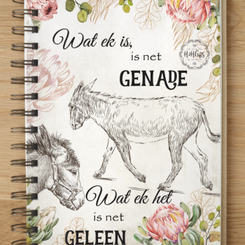 Notebook - NB2022-17