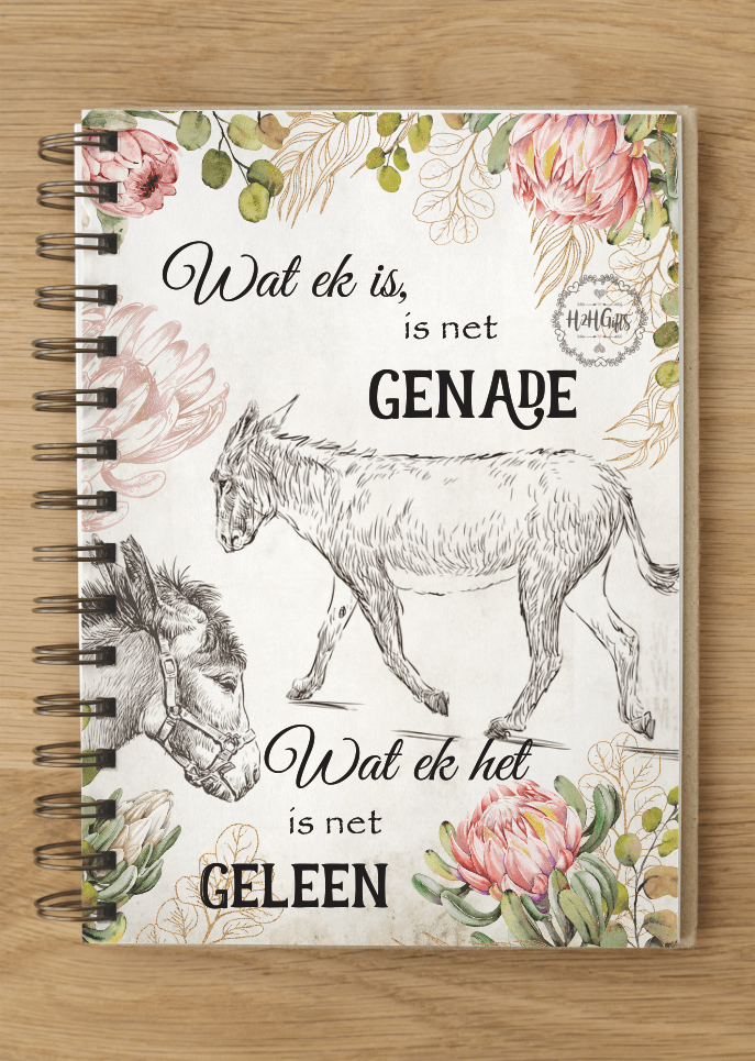 Notebook - NB2022-17