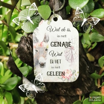 Keyring - KR37