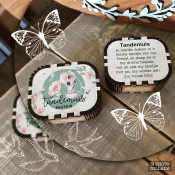 Toothfairy Box - TF08