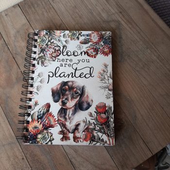 Notebook - NB2023-40