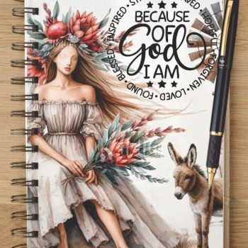 Notebook - NB2024-0410