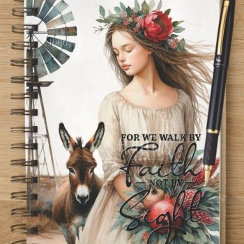 Notebook - NB2024-0411