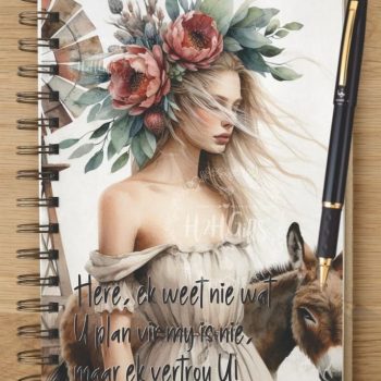 Notebook - NB2024-0415