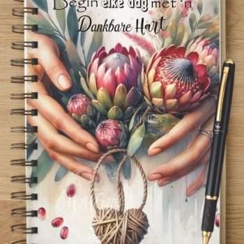 Notebook - NB2024-0435