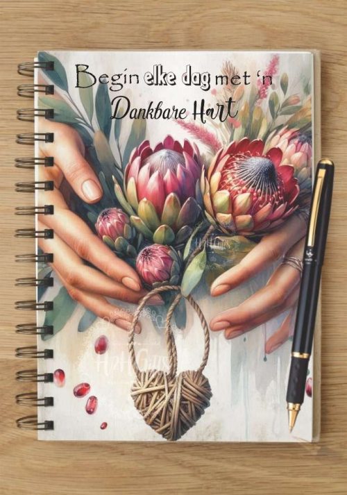 Notebook - NB2024-0435