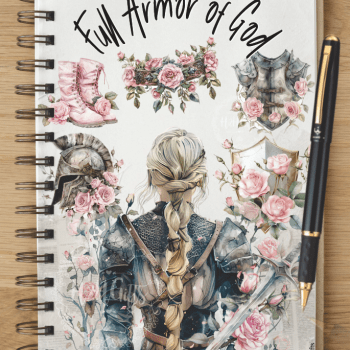 Notebook - NB2024-0803