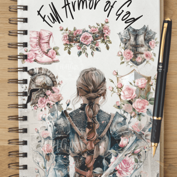 Notebook - NB2024-0801