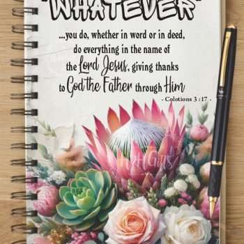 Notebook - NB2024-0806