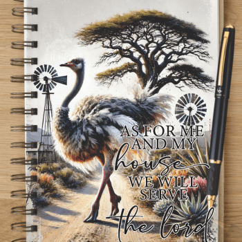 Notebook - NB2025-01