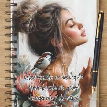 Notebook - NB2025-09