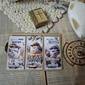 Bookmark Magnet – BMM20